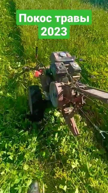 ПОКОС ТРАВЫ 2023 #деревня #ЛЕТО #ТРАВА