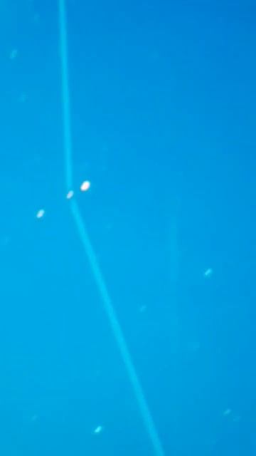 have you seen this planetary event? #venus #jupiter #venusjupiter #conjuction #astrology