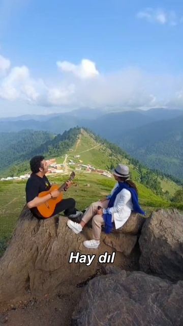 Hay dıl