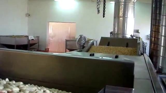 Continuous flow fryer