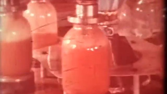 Консервный цех семеноводческого хозяйства