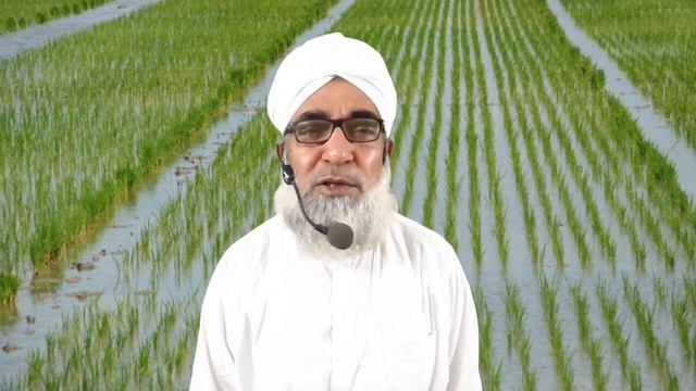 Pros and cons of Machine planter sowing of Rice crop || Crop Reformer