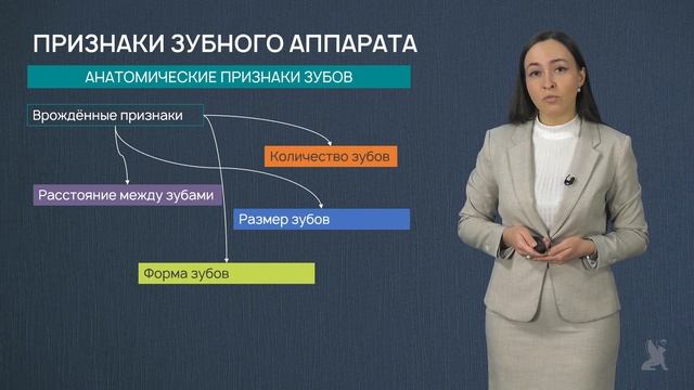 4.25 Иные следы человека. Следы зубов