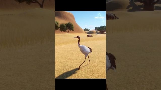 Planet Zoo: Running Red Crowned Crane #shorts