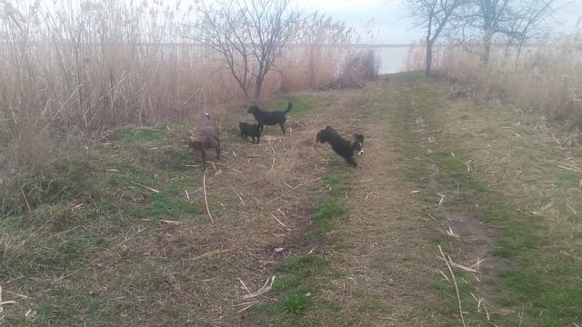VID_20250204_124614