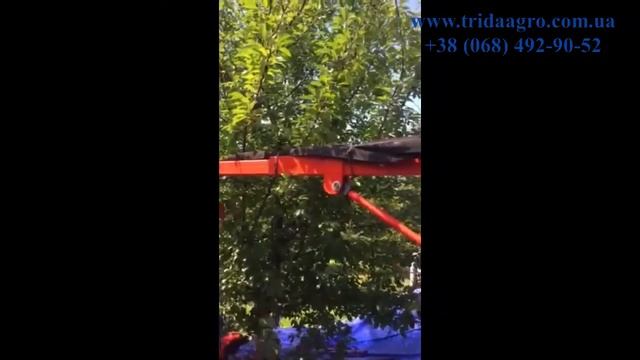 Вишневий комбайн в роботі