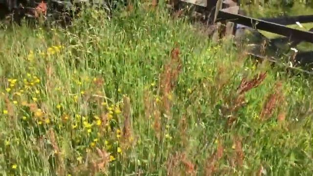 Stop Mowing