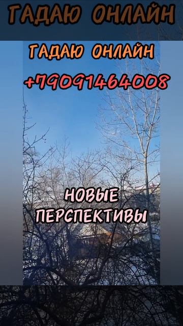 5 февраля.
АСТРОЛОГИЯ ДНЯ.

Выдержанны и терпеливы.
Откроем для себя новые перспективы.
Умение  адап