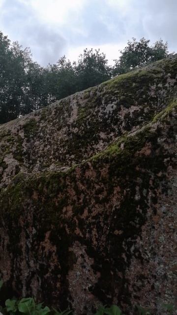Огромный монолит #огромныймонолит #деревнякамень #новгородскаяобласть
