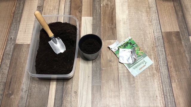 Как посеять землянику на рассаду