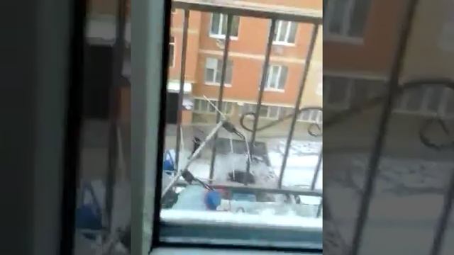 утро. 12  часов утра