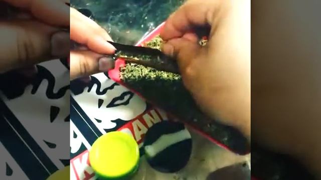 Dab Wizard Bundle!