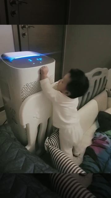 309일 - 공기청정기를 조작하는 박호빵