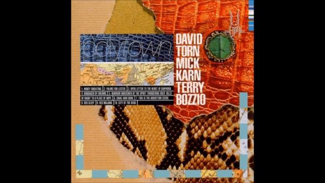 David Torn, Mick Karn, Terry Bozzio - Snail Hair Dune