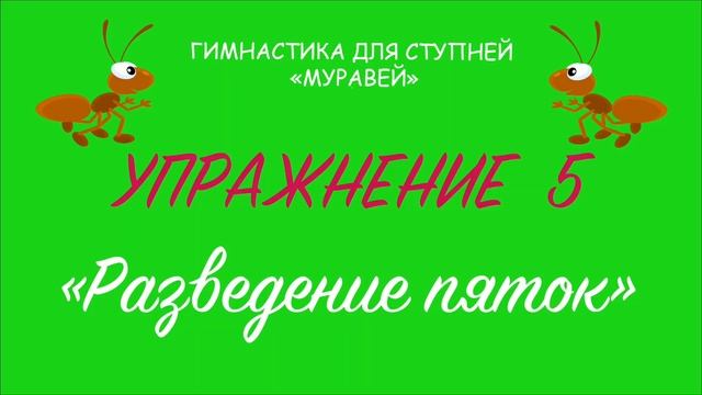 ДЕТСКАЯ ГИМНАСТИКА ДЛЯ СТУПНЕЙ "МУРАВЕЙ"