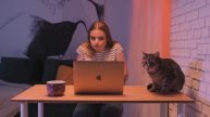 Мурчик краще знає | Hello Grill - найсмачніші страви твого міста.