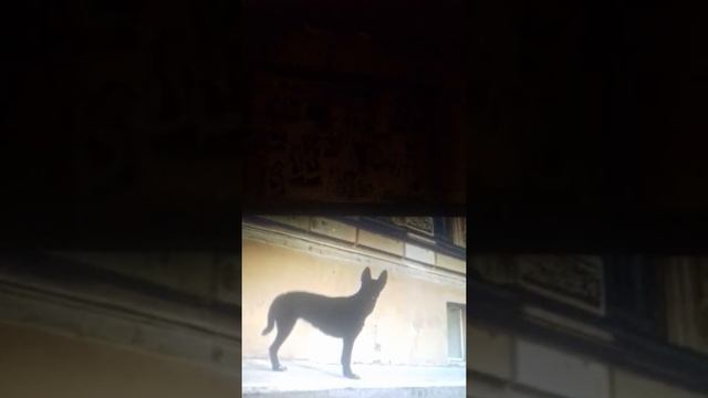27 МИНУТ ПОТЕХИ! СКИБИДИ ЧЕЛЕНДЖ!!!