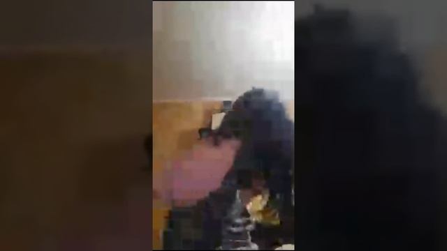 11 Часов Ночи