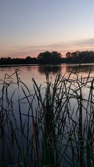 Охота на утку