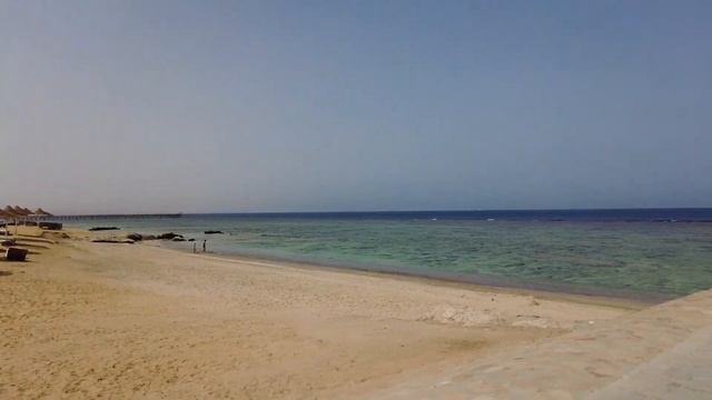 ALBATROS SEA WORLD MARSA ALAM 4K