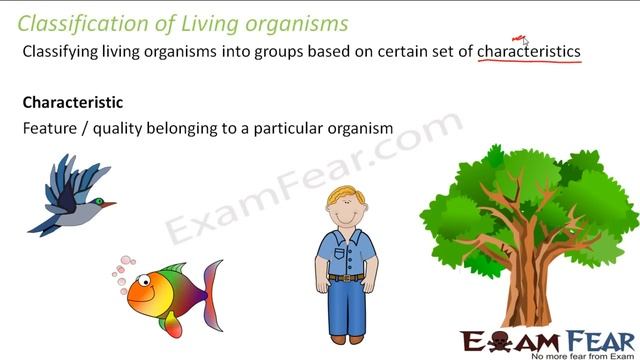Biology Biological Classification part 1 (Introduction & Aristotle) CBSE class 11 XI