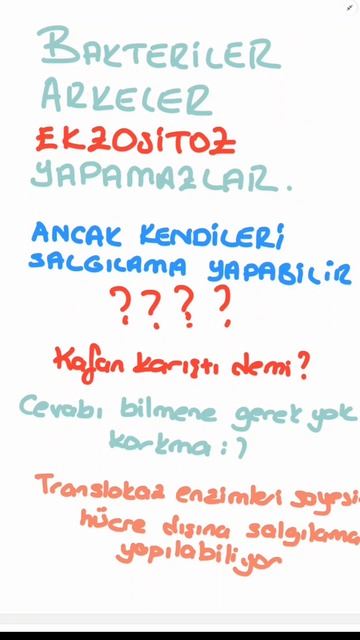 Bakteriler endositoz yapabilir mi?