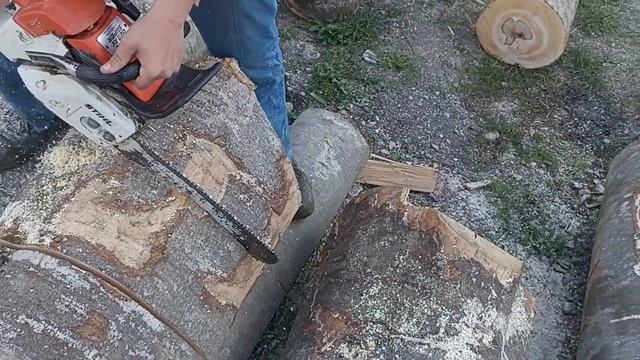 Cutting Wood with Sthil 028 AV Super Part 1