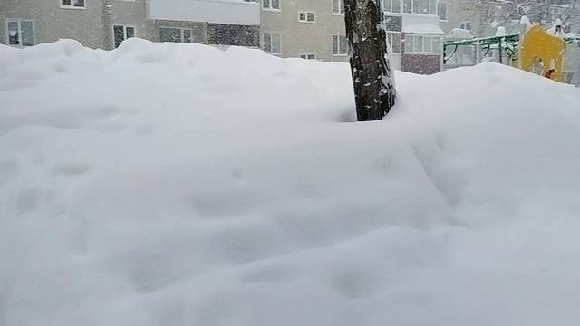 Южно-Сахалинск снова засыпало снегом