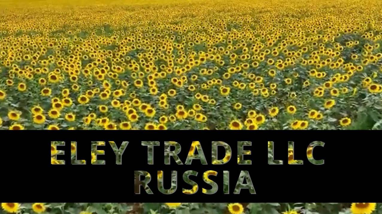 ООО "Елей Трейд" является надежным партнером в области поставок растительного масла
