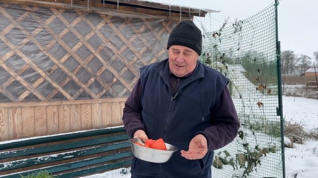 Ви не повірите! Зима закінчується, а ми зі свіжими томатами