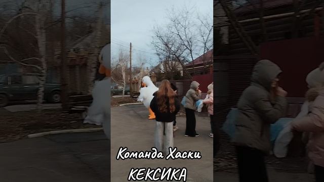 Команда Хаски КЕКСИКА