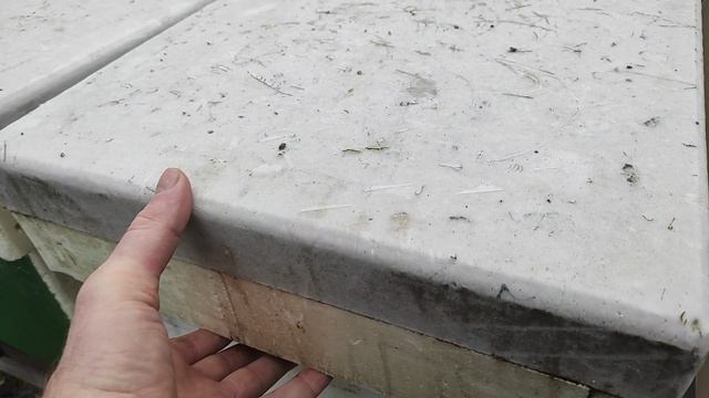 Нужно ли еще канди пчелам? 31 января 2025г.