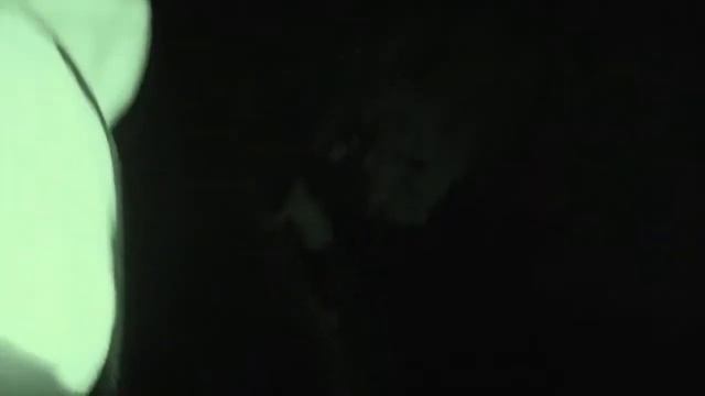 24 часа челендж в доме из картона