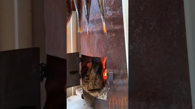 КОПЧЕНИЯ ОКУНЯ