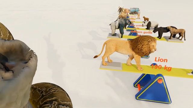 Animals 3D Comparison🐫🐕🦌🐘 | Weight | 2021