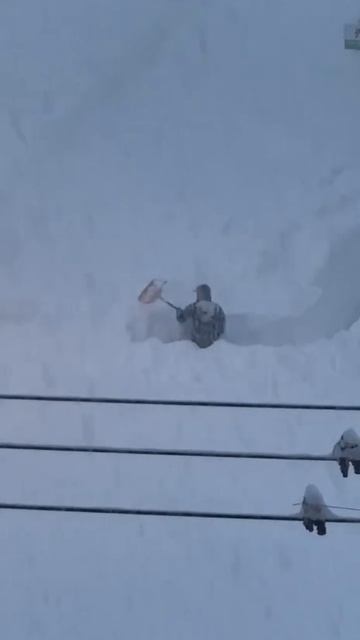 После таких случаев вы всё ещё считаете, что с климатом всё в порядке и это просто совпадение?