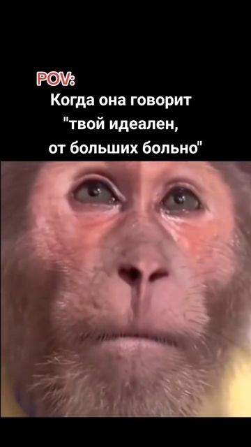 Боль откровения.