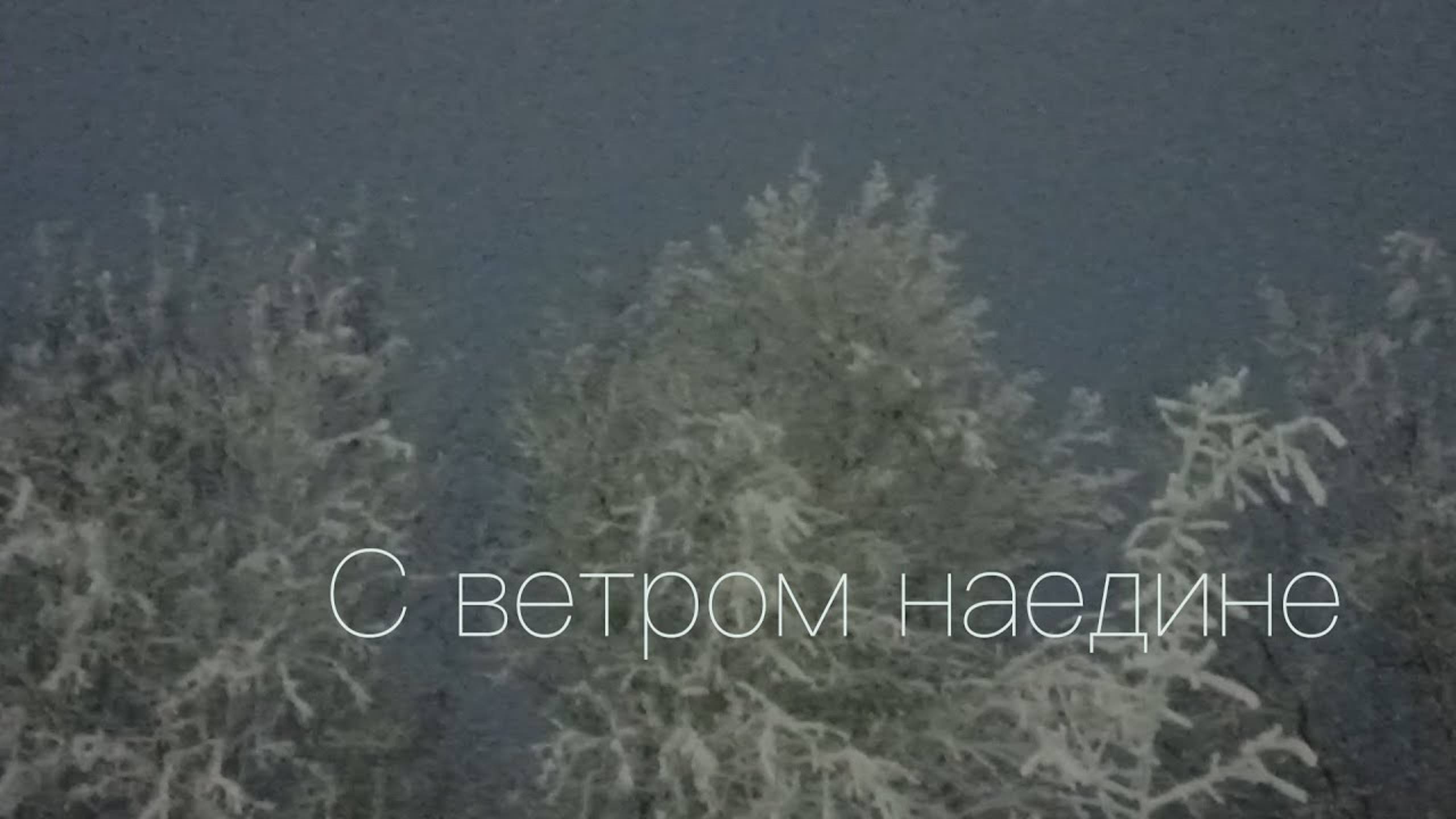 2024. С ветром наедине