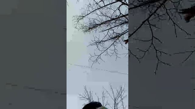 гуляем
