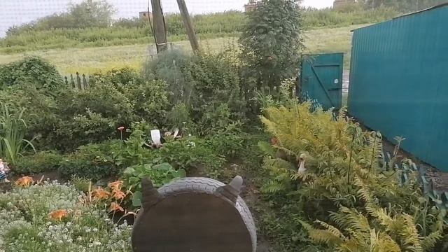 #семья#еда#ЕленаСнисаренко#погода#дождь ЧТО ТЕБЕ НАЗНАЧЕНО ПРИРОДОЙ☔, НАДО БЛАГОДАРНО ПРИНИМАТЬ💕❗❗❗