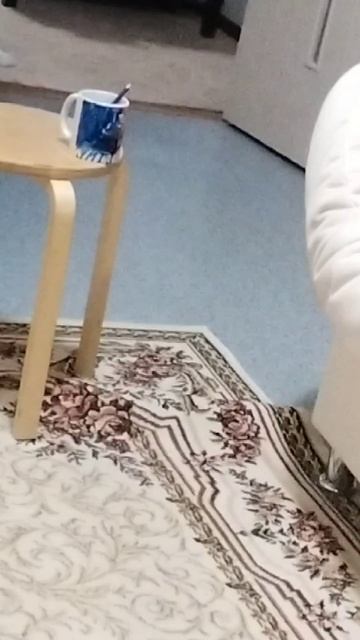 попаалааааа