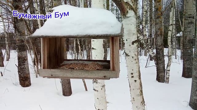 кормушка для птиц