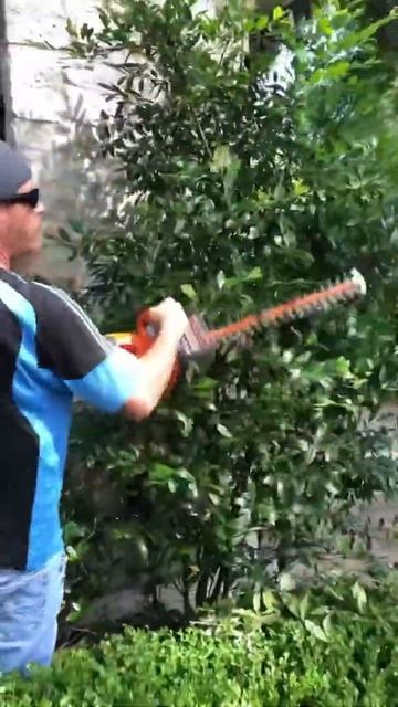Millennial DEMANDS I stop using gas powered equipment #shorts