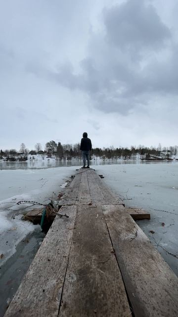 11764844-uhd_2160_3840_60fps