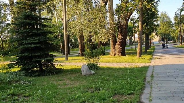 САМЫЕ ЛУЧШИЕ ЗНАКИ ЗОДИАКА \ Лучший муж по знаку зодиака \ Лучшая жена по знаку зодиака