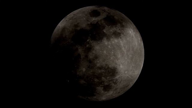 Full moon Nov 18 2021