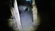 Обзор на сарай для индюков