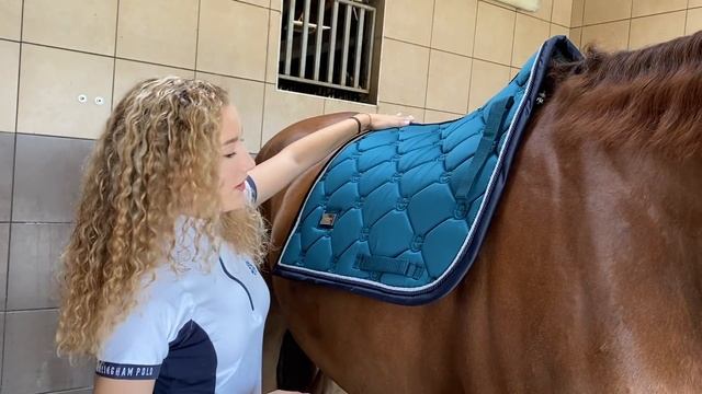 Cómo preparar un caballo || Tutorial