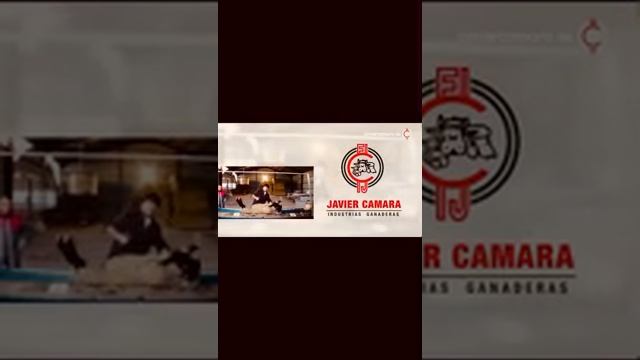 Доильный аппарат для коз | Аппарат для дойки коз