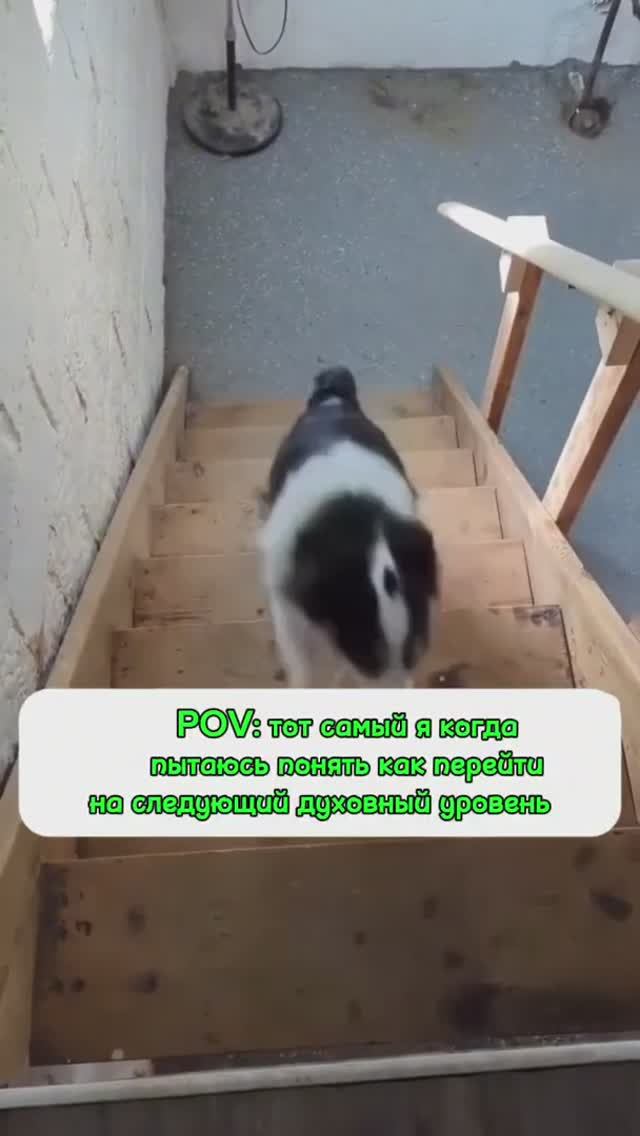 Какие этапы духовного роста Вы знаете?